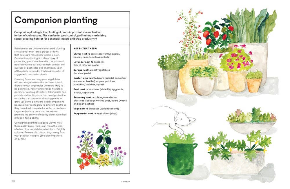 The Kitchen Garden: Sowing, Growing and Cooking