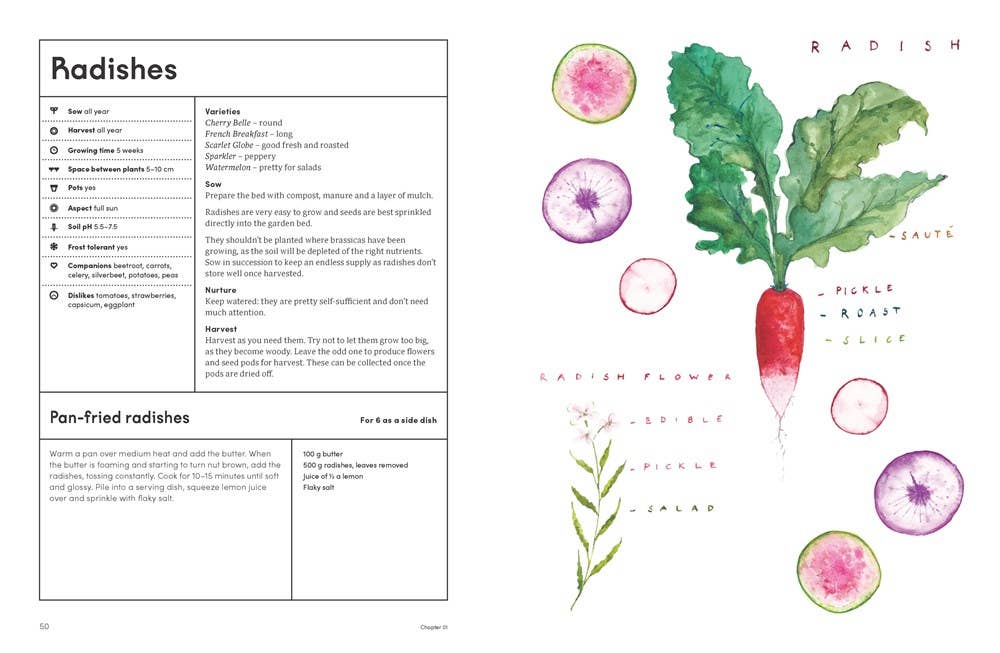 The Kitchen Garden: Sowing, Growing and Cooking