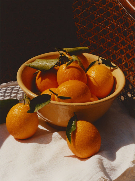 Ruby Valencia & Apricot Fruit Spread