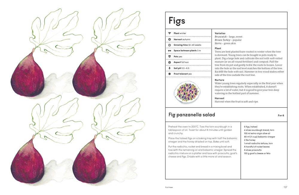 The Kitchen Garden: Sowing, Growing and Cooking