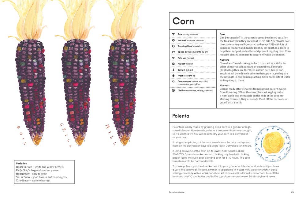 The Kitchen Garden: Sowing, Growing and Cooking