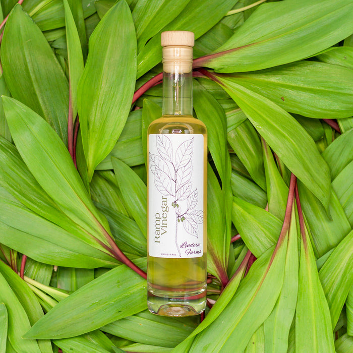Ramp Vinegar