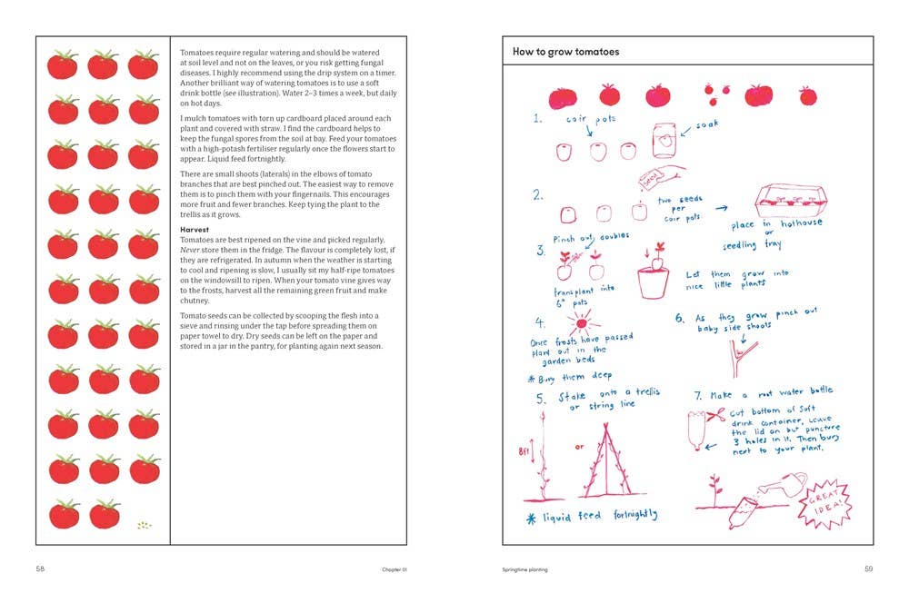 The Kitchen Garden: Sowing, Growing and Cooking