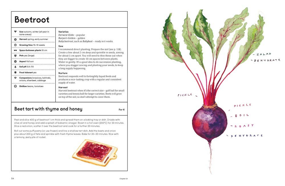The Kitchen Garden: Sowing, Growing and Cooking
